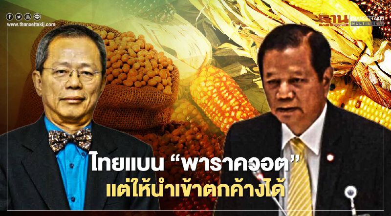 วิพากษ์ ไทยแบน “พาราควอต” แต่ให้นำเข้าตกค้างได้