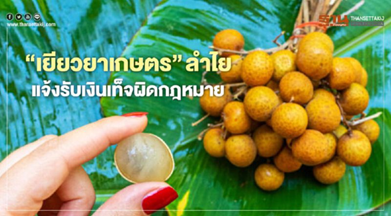 “เยียวยาเกษตร” ลำไย แจ้งรับเงินเท็จผิดกฎหมาย “เยียวยาเกษตร” ลำไย แจ้งรับเงินเท็จผิดกฎหมาย