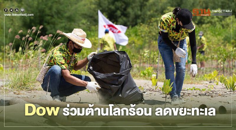 “Dow” ทุ่มงบ 30 ล้านยกระดับการอนุรักษ์ป่าชายเลนด้วยคาร์บอนเครดิต
