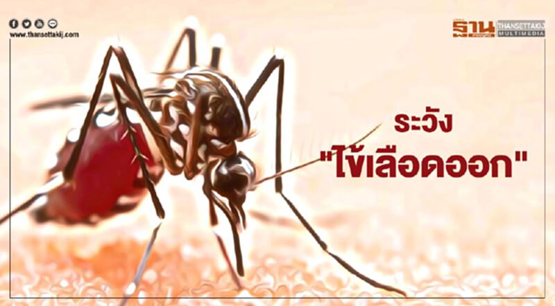 เตือน ปชช. "ไข้เลือดออก" ระบาดป่วยแล้ว 47,738 ราย เสียชีวิต 32 ราย เตือน ปชช. "ไข้เลือดออก" ระบาดป่วยแล้ว 47,738 ราย เสียชีวิต 32 ราย