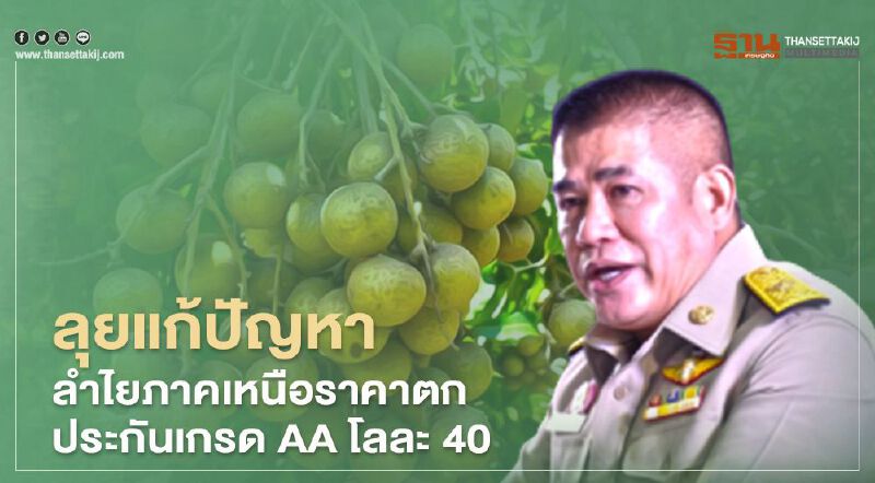 ลุยแก้ปัญหาลำไยภาคเหนือราคาตก ประกันเกรด AA โลละ 40 
