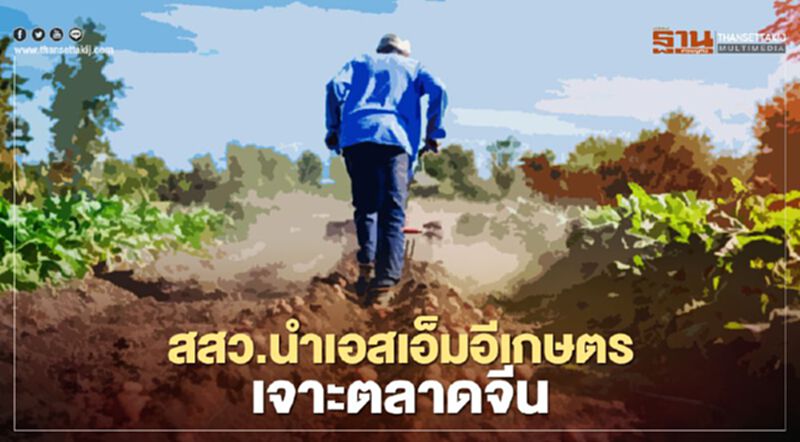 สสว.นำเอสเอ็มอีเกษตร เจาะตลาดจีน สสว.นำเอสเอ็มอีเกษตร เจาะตลาดจีน