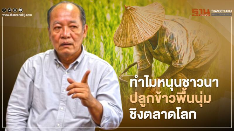ทำไม ไทยหนุนชาวนาปลูกข้าวพื้นนุ่มชิงตลาดโลก