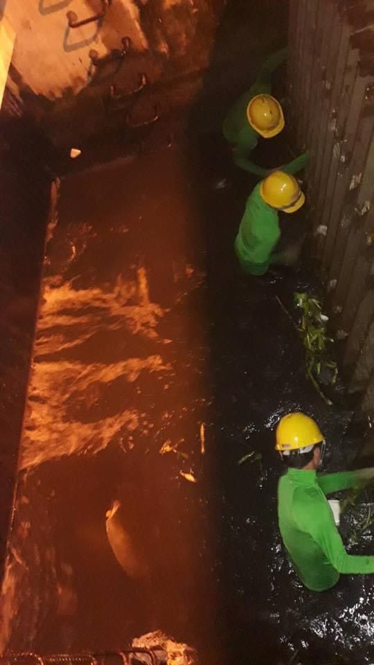 ฝนตกทั่วกรุง60%ห่วงขยะอุดตันเครื่องสูบน้ำ