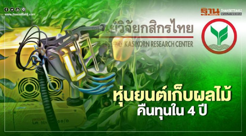 เปิดข้อเปรียบเทียบ “ใช้หุ่นยนต์เก็บผลไม้แทนแรงงานคน” หนุนรายรับ-กำไรส่วนเพิ่ม เปิดข้อเปรียบเทียบ “ใช้หุ่นยนต์เก็บผลไม้แทนแรงงานคน” หนุนรายรับ-กำไรส่วนเพิ่ม
