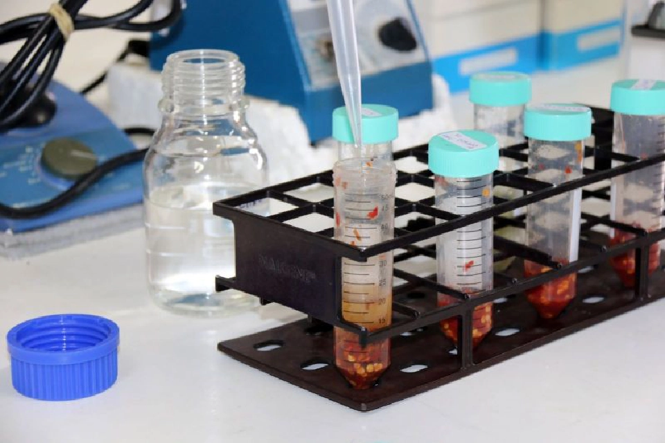 สุ่มตรวจตลาดสดพบสารตกค้างในผักผลไม้