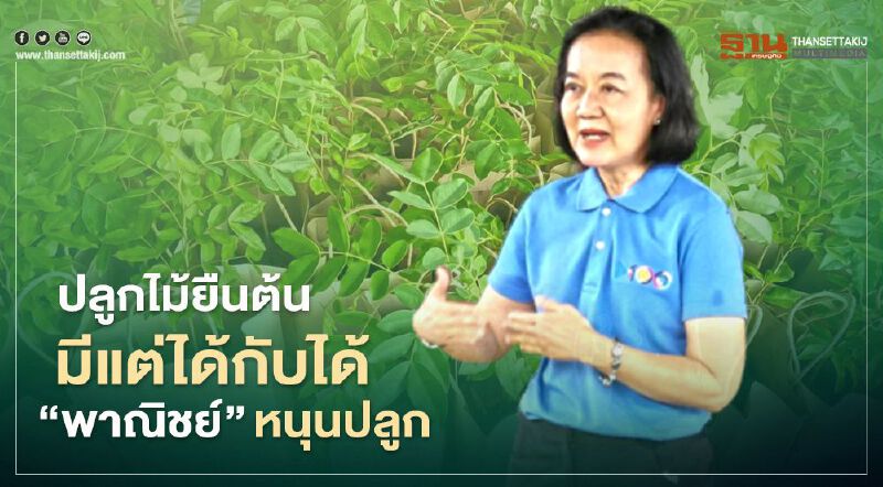 พาณิชย์​ หนุนปลูกไม้ยืนต้นมีแต่ได้กับได้ 