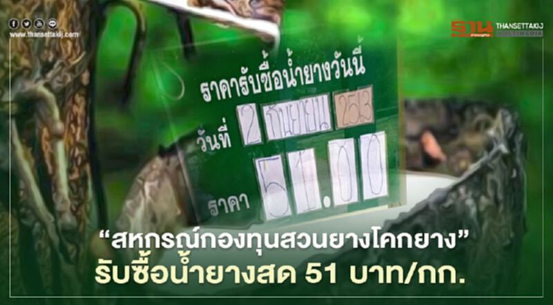 “สหกรณ์กองทุนสวนยางโคกยาง” รับซื้อน้ำยางสด 51 บาท/กก. “สหกรณ์กองทุนสวนยางโคกยาง” รับซื้อน้ำยางสด 51 บาท/กก.
