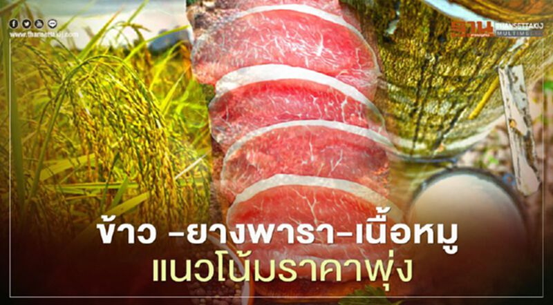 ธ.ก.ส. เผย ข้าว -ยางพารา- เนื้อหมู แนวโน้มราคาพุ่ง ธ.ก.ส. เผย ข้าว -ยางพารา- เนื้อหมู แนวโน้มราคาพุ่ง