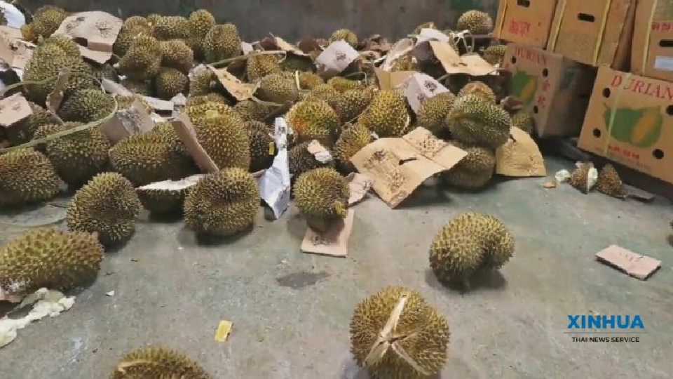 แฟ้มภาพข่าวซินหัว