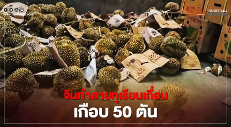 จีนทำลายทุเรียนเถื่อนเกือบ 50 ตัน จีนทำลายทุเรียนเถื่อนเกือบ 50 ตัน
