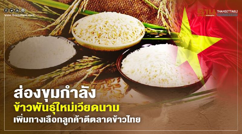 ส่องขุมกำลังข้าวพันธุ์ใหม่เวียดนาม เพิ่มทางเลือกลูกค้าตีตลาดข้าวไทย