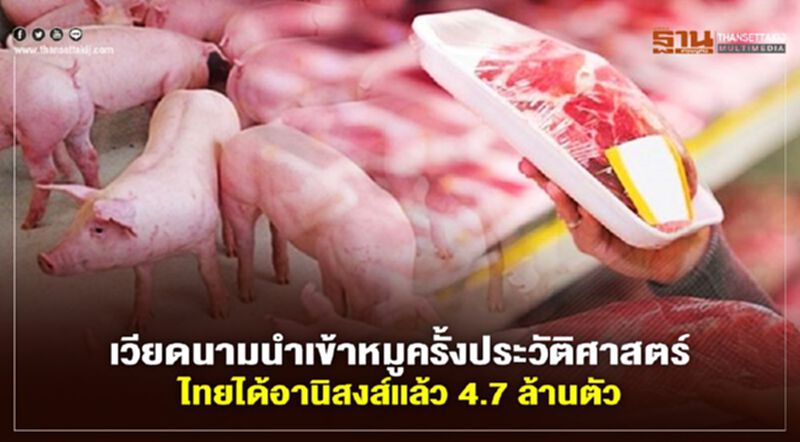 เวียดนามนำเข้าหมูครั้งประวัติศาสตร์ ไทยได้อานิสงส์แล้ว 4.7 ล้านตัว เวียดนามนำเข้าหมูครั้งประวัติศาสตร์ ไทยได้อานิสงส์แล้ว 4.7 ล้านตัว