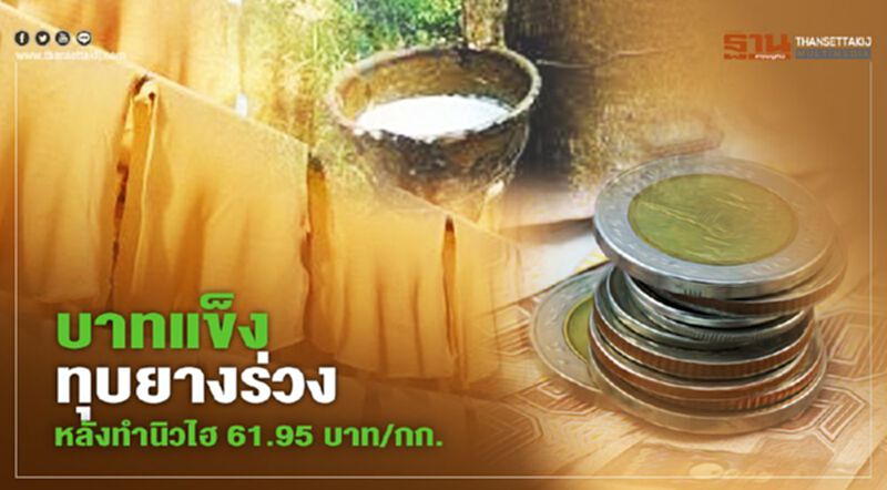 บาทแข็งทุบยางร่วง หลังทำนิวไฮ 61.95 บาท/กก. บาทแข็งทุบยางร่วง หลังทำนิวไฮ 61.95 บาท/กก.