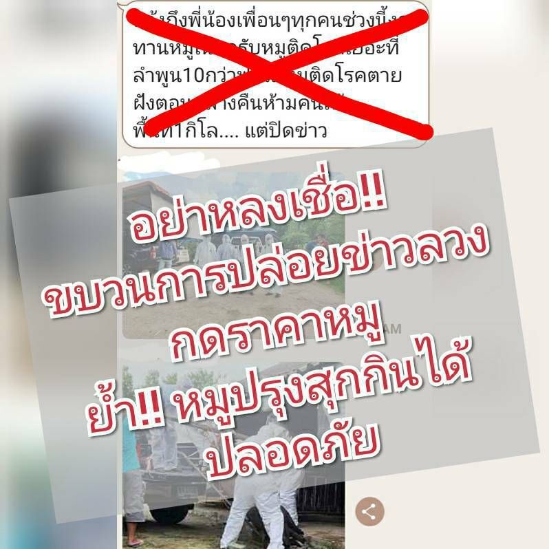 "ปศุสัตว์"ย้ำสุกรกินได้ปลอดภัย เตือนอย่าหลงเชื่อขบวนการปล่อยข่าวลวง