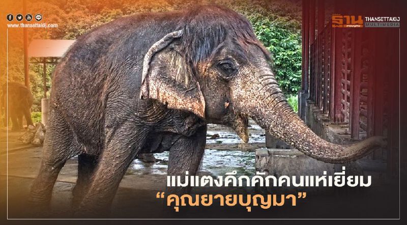 สาวๆหลีกไป แม่แตงคึกคักคนแห่เยี่ยม"คุณยายบุญมา"