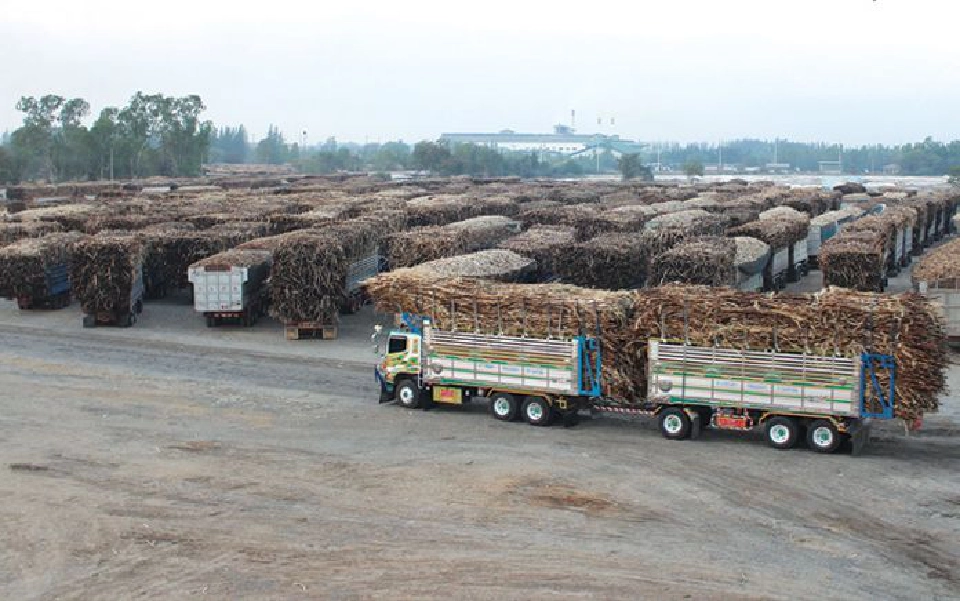 น้ำตาลไทย “สาหัส” 3 ปัจจัยฉุด ใช้กำลังผลิตแค่ 34%