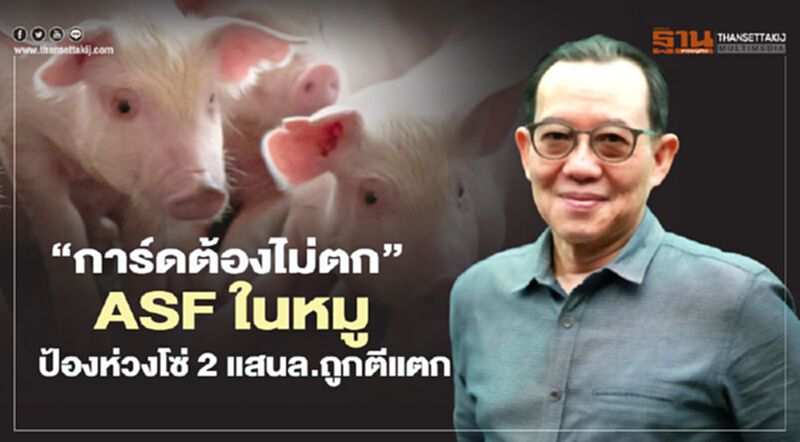 "การ์ดต้องไม่ตก" ASF ในหมู ป้องห่วงโซ่ 2 แสนล.ถูกตีแตก "การ์ดต้องไม่ตก" ASF ในหมู ป้องห่วงโซ่ 2 แสนล.ถูกตีแตก