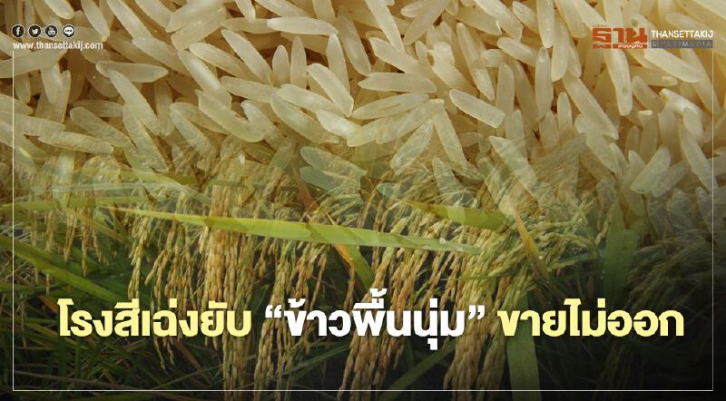 โรงสีเฉ่งยับ “ข้าวพื้นนุ่ม” ขายไม่ออก