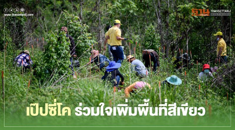 เป๊ปซี่โค ร่วมใจเพิ่มพื้นที่สีเขียว เป๊ปซี่โค ร่วมใจเพิ่มพื้นที่สีเขียว