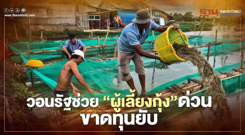 วอนรัฐช่วย “ผู้เลี้ยงกุ้ง” ด่วน ขาดทุนยับ