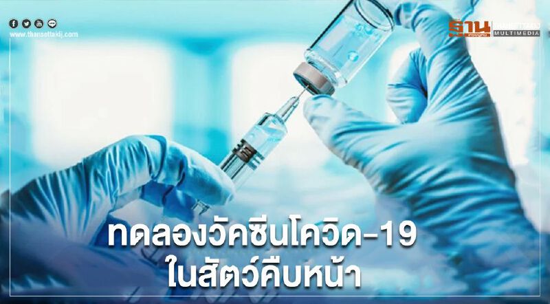 "อินเดีย"เผยผลทดลองวัคซีนโควิด-19 ในสัตว์ สามารถสร้างภูมิคุ้มกัน