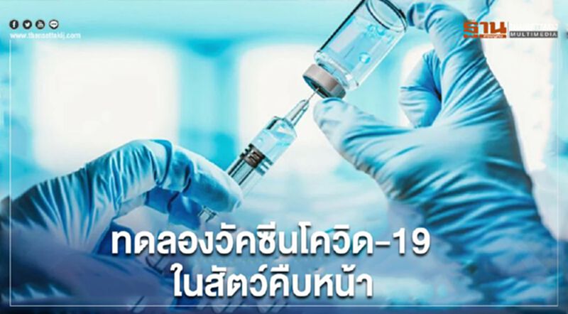 "อินเดีย"เผยผลทดลองวัคซีนโควิด-19 ในสัตว์ สามารถสร้างภูมิคุ้มกัน "อินเดีย"เผยผลทดลองวัคซีนโควิด-19 ในสัตว์ สามารถสร้างภูมิคุ้มกัน