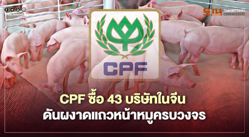 CPF ซื้อ 43 บริษัทในจีน ดันผงาดแถวหน้าหมูครบวงจร CPF ซื้อ 43 บริษัทในจีน ดันผงาดแถวหน้าหมูครบวงจร