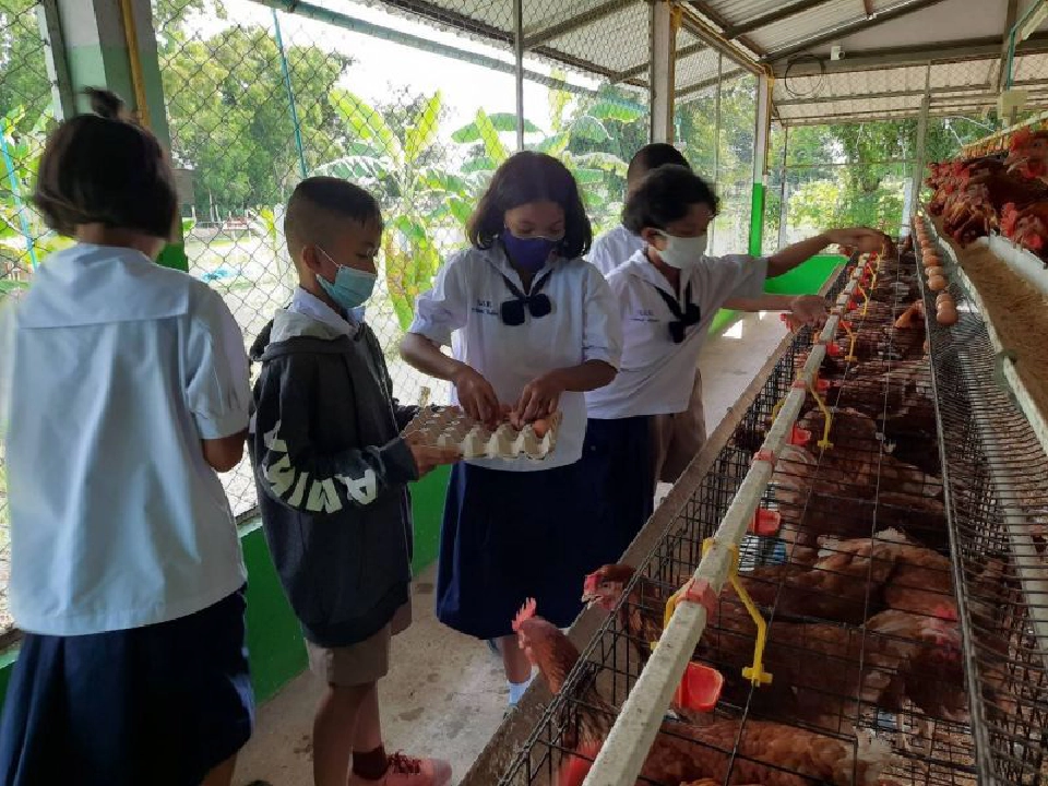 "ซีพีเอฟ" เดินหน้าโมเดลสร้างความมั่นคงทางอาหาร 