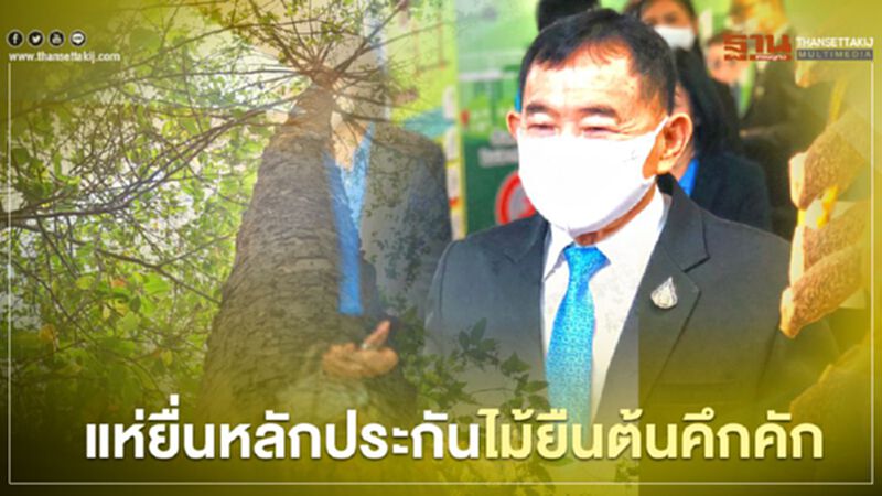 แห่ยื่นหลักประกันไม้ยืนต้นคึกคัก แห่ยื่นหลักประกันไม้ยืนต้นคึกคัก