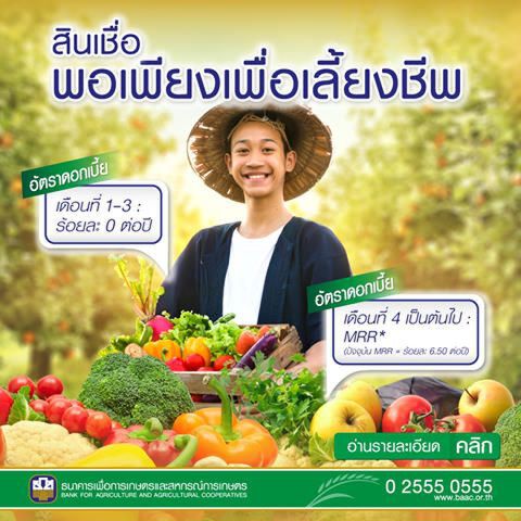 เช็กเลย! ธ.ก.ส.ออก"สินเชื่อพอเพียงเพื่อเลี้ยงชีพ" รายละไม่เกิน 50,000 บาท