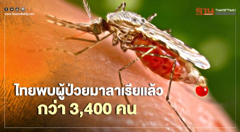 เตือนเฝ้าระวังภัยไข้มาลาเรีย เผยปีนี้ไทยพบผู้ป่วยแล้วกว่า 3,400 คน เตือนเฝ้าระวังภัยไข้มาลาเรีย เผยปีนี้ไทยพบผู้ป่วยแล้วกว่า 3,400 คน