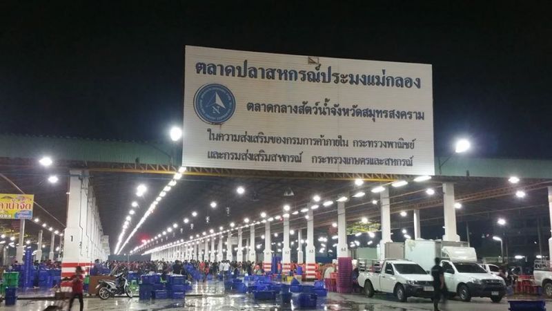 ผวาโควิด สั่งห้ามสัตว์น้ำจาก “เมียนมา” มาขาย