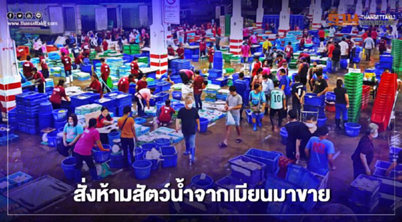 ผวาโควิด สั่งห้ามสัตว์น้ำจาก “เมียนมา” มาขาย ผวาโควิด สั่งห้ามสัตว์น้ำจาก “เมียนมา” มาขาย