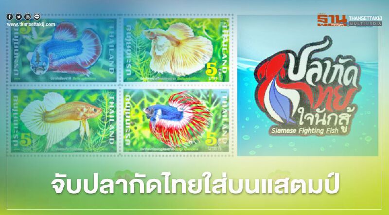 ไปรษณีย์ไทยจับปลากัดไทยใส่บนดวงแสตมป์