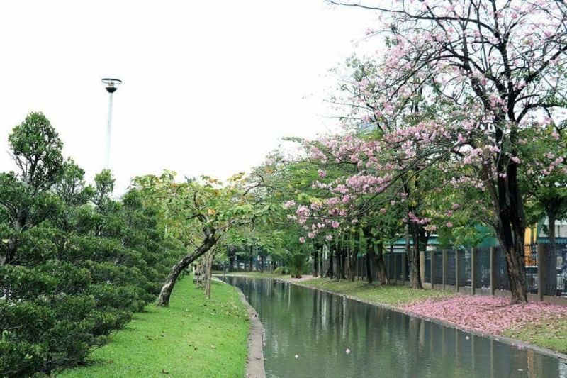กทม.เตรียมจัดทำเส้นทางจักรยานในอุทยานสวนจตุจักร 