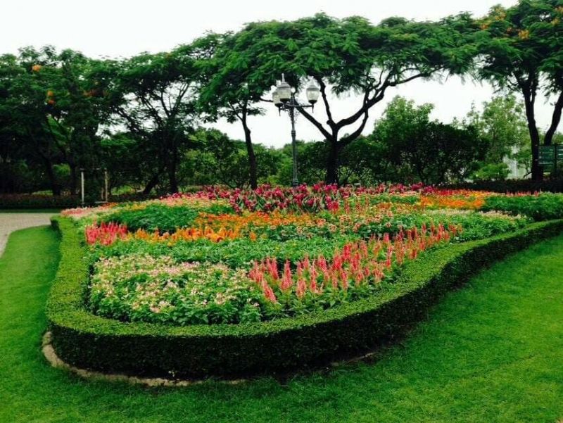 กทม.เตรียมจัดทำเส้นทางจักรยานในอุทยานสวนจตุจักร 