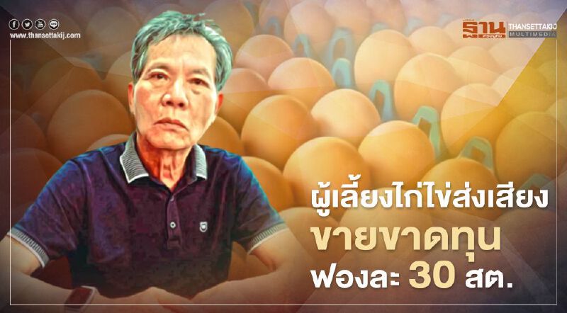 ผู้เลี้ยงไก่ไข่ส่งเสียง ขายขาดทุนฟองละ 30 สต.