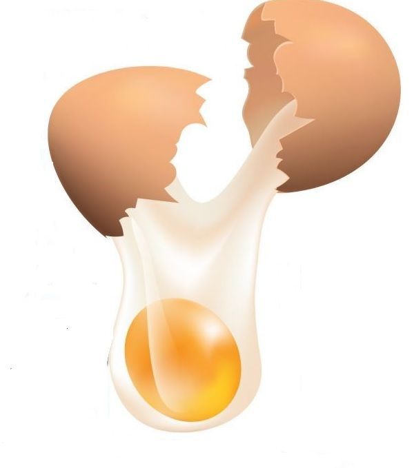"มิสเตอร์ไข่ไก่" ผ่าปมแก้ราคาตกต่ำ