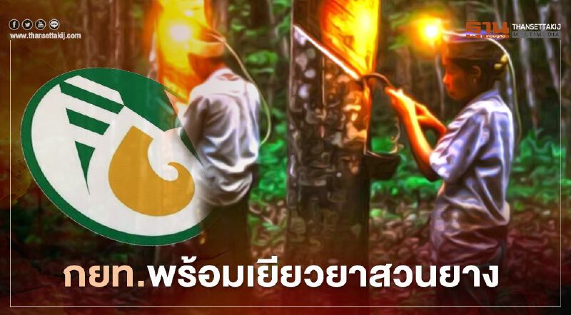 กยท.พร้อมเยียวยาชาวสวนยางรายละ 3,000  