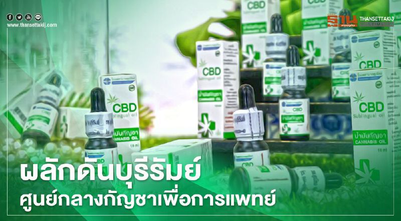 ผลักดัน “บุรีรัมย์”ศูนย์กลางกัญชาเพื่อการแพทย์