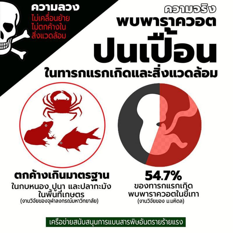 ยื่นค้านทบทวนแบนสาร “พาราควอต-คลอร์ไพริฟอส”