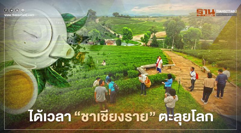 ได้เวลา"ชาเชียงราย"ตะลุยโลก ได้เวลา"ชาเชียงราย"ตะลุยโลก