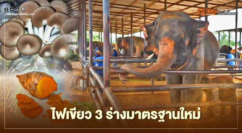 ไฟเขียว 3 ร่างมาตรฐานใหม่ “พืชสมุนไพรแห้ง-ก้อนเชื้อเห็ด-ปางช้าง” ไฟเขียว 3 ร่างมาตรฐานใหม่ “พืชสมุนไพรแห้ง-ก้อนเชื้อเห็ด-ปางช้าง”