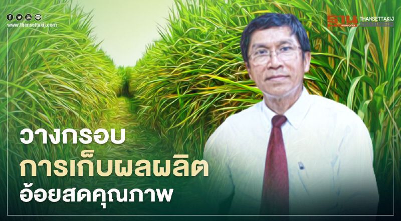 “โรงงานน้ำตาล” วางกรอบจัดเก็บผลผลิตอ้อยสดคุณภาพปีการผลิต 63/64