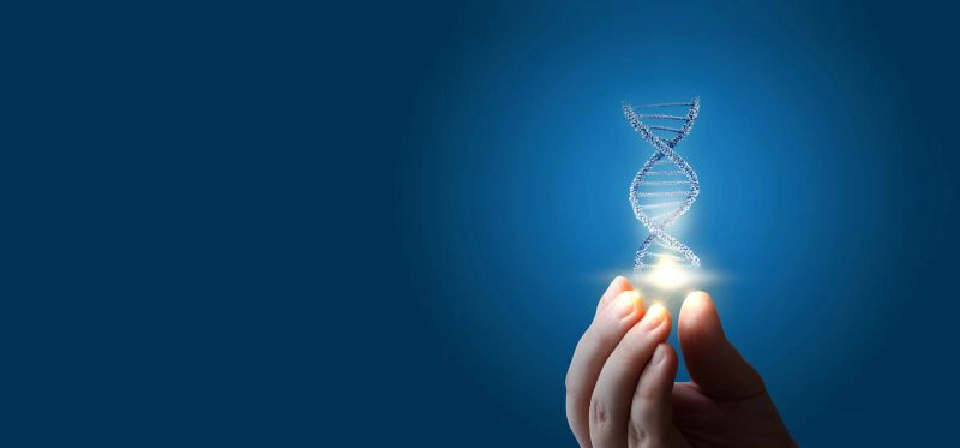 ตรวจคัดกรองความเสี่ยงโรคมะเร็ง