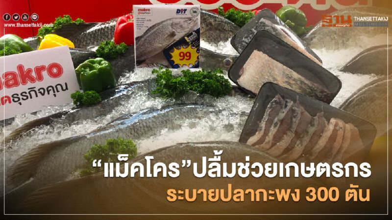 “แม็คโคร”ปลื้มช่วยเกษตรกร ระบายปลากะพง 300 ตัน