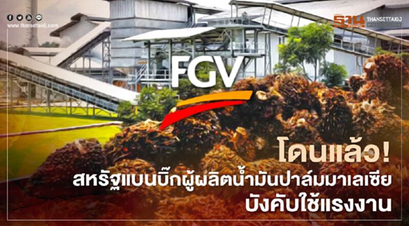 โดนแล้ว! สหรัฐแบน บิ๊กผู้ผลิตน้ำมันปาล์มมาเลเซีย บังคับใช้แรงงาน โดนแล้ว! สหรัฐแบน บิ๊กผู้ผลิตน้ำมันปาล์มมาเลเซีย บังคับใช้แรงงาน