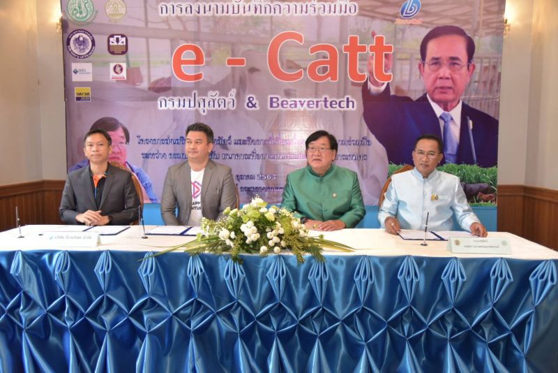 ดันแพลตฟอร์มโคเนื้อ หนุนสินเชื่อปศุสัตว์ 5 หมื่นล้าน