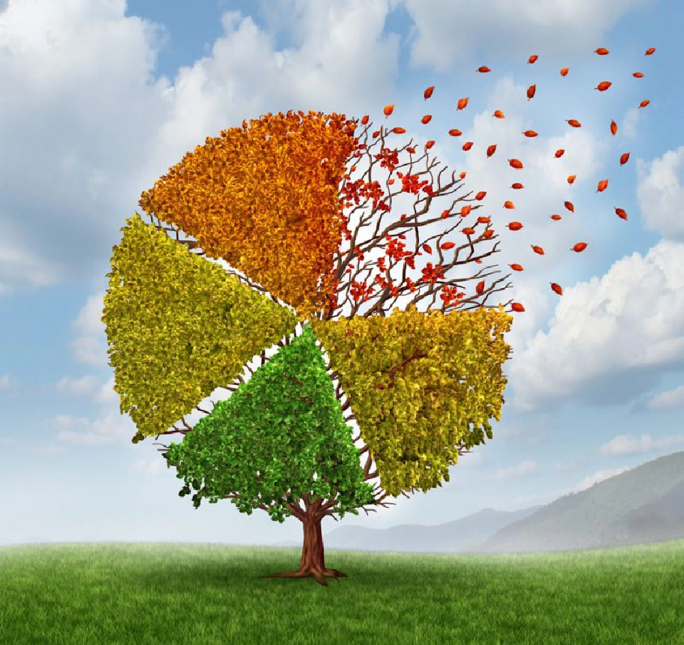 บริหารเงินหลังเกษียณอย่างไร ให้มีพอใช้ตลอดชีวิต